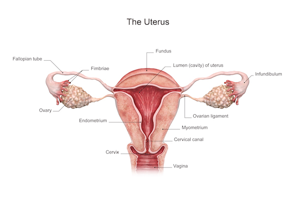 women have this undetected uterine condition