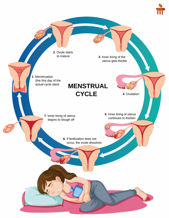 menstrual leave