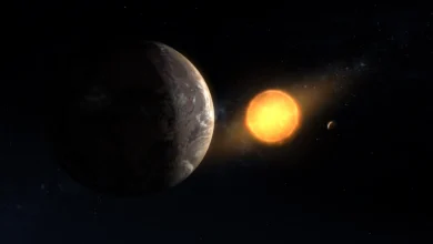 NASA discovers planet