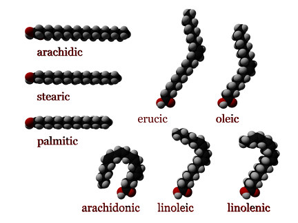 Enzyme