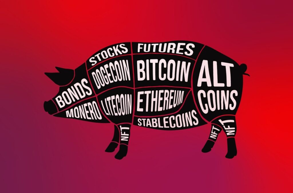 pig butchering crypto investment scam featured