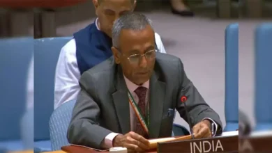 india at un calls for immediate ceasefire in gaza strip urges for unconditional release of hostages