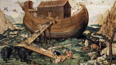 Noah's Ark