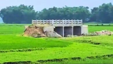 Bridge in Bihar Built