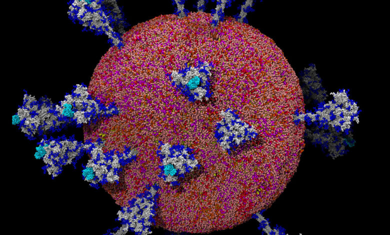 coronavirus unveiled promo 1602171596829 mediumSquareAt3X v3