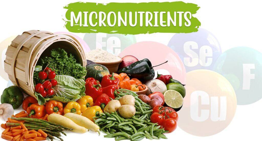 Micronutrient Insufficiency