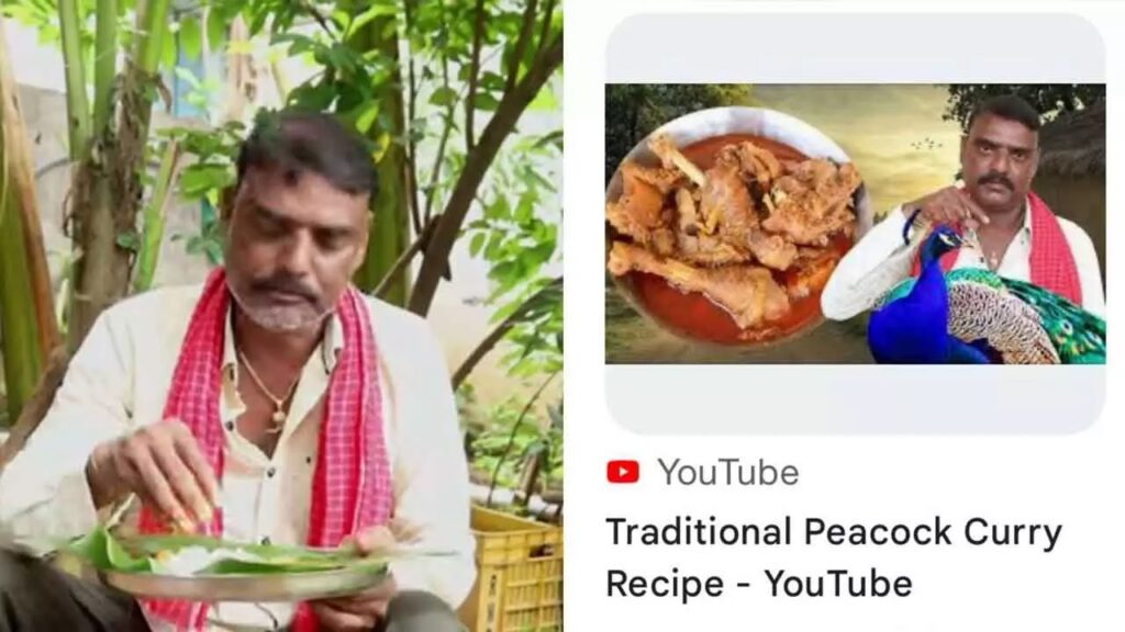 peacock curry recipe