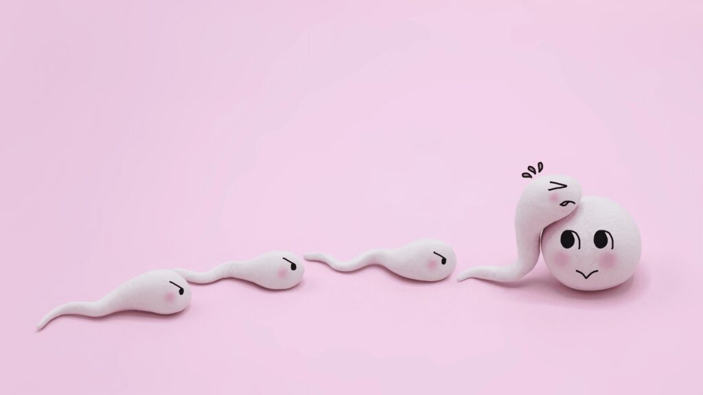 sperm and egg donors