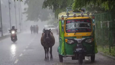 rainfall would be more than 106 for the second part of monsoon across india imd 1