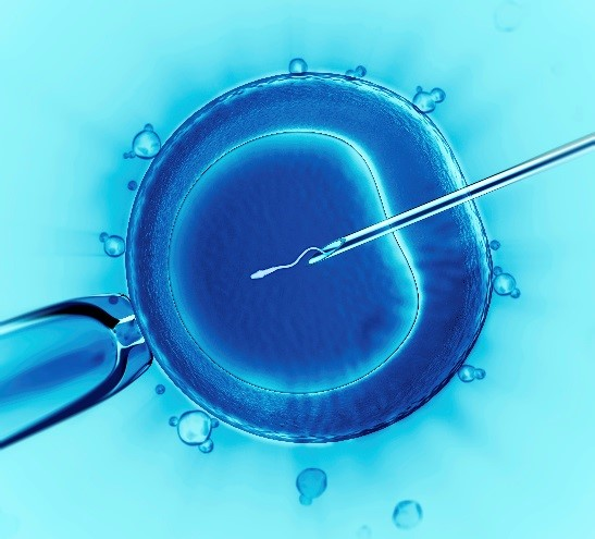 Fertility Treatment