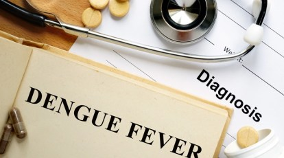 Dengue Epidemic