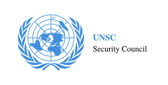 UN Security Council Seat