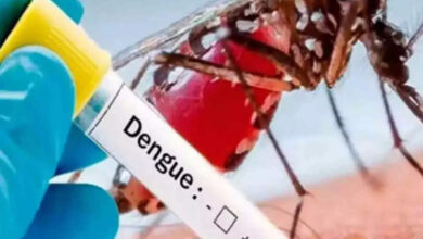 karnataka dengue news today