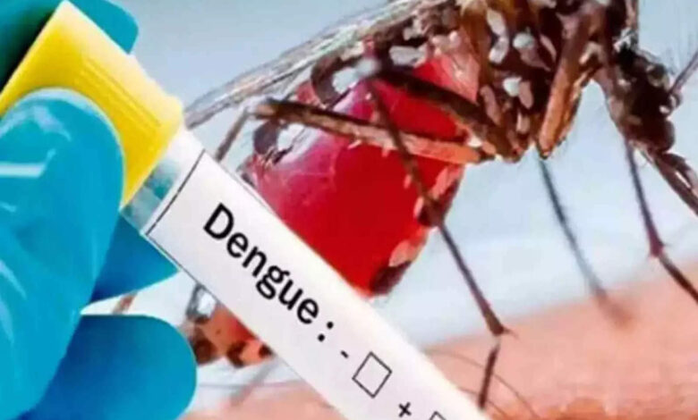 karnataka dengue news today