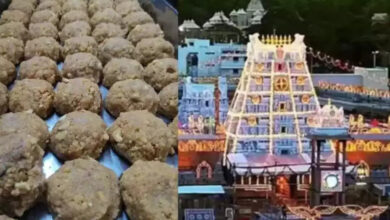 Tirupati Laddu Case